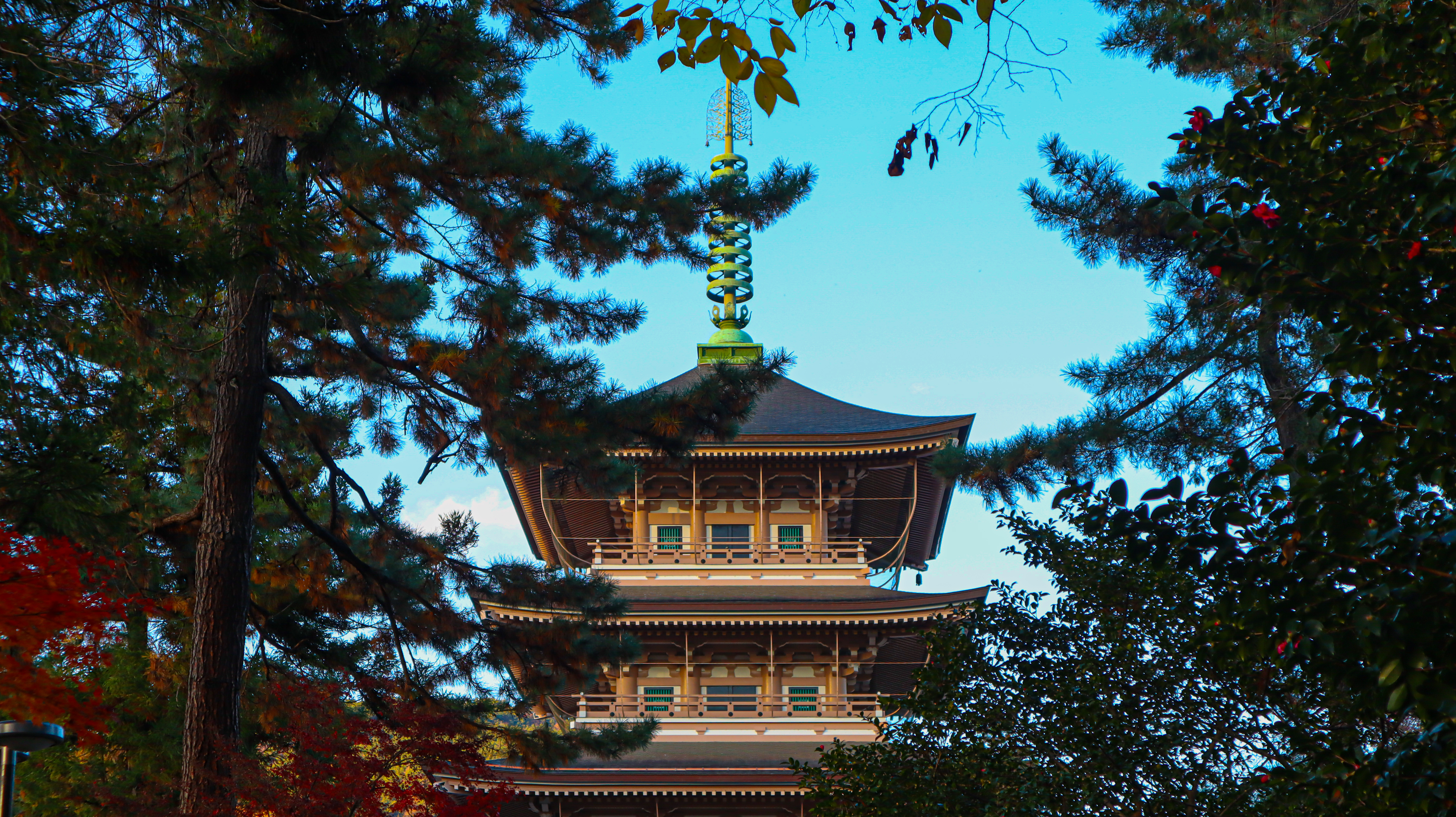 Zenko-ji pagoda