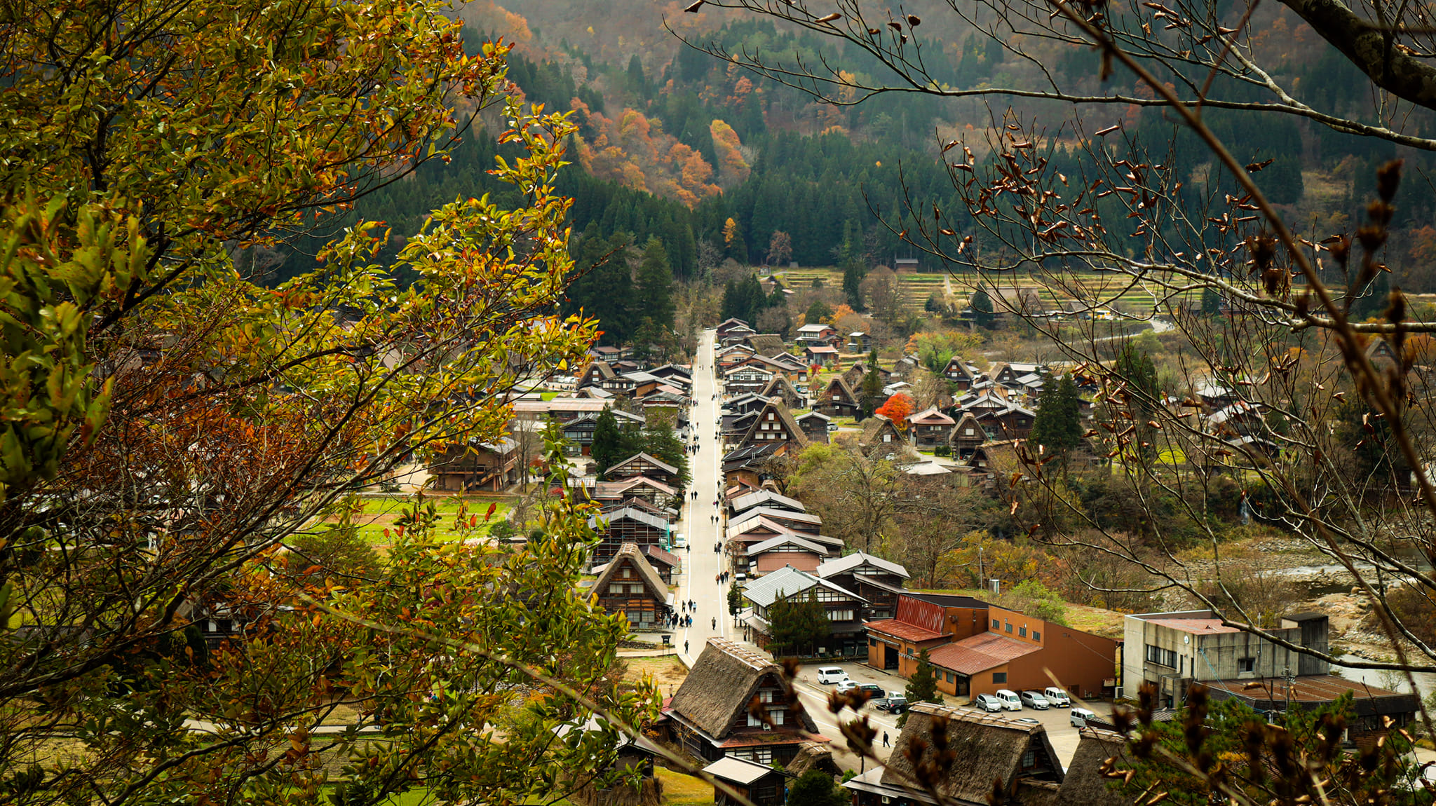 Shirakawa-go in autumn
